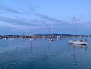 Un puerto deportivo con varios veleros anclados en aguas tranquilas.