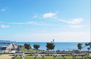 Property grounds - Haddington House Hotel (Dublin)