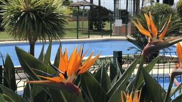 Piscina externa