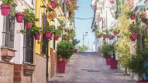 Una estrecha calle adoquinada flanqueada por edificios, con balcones adornados con plantas en macetas.