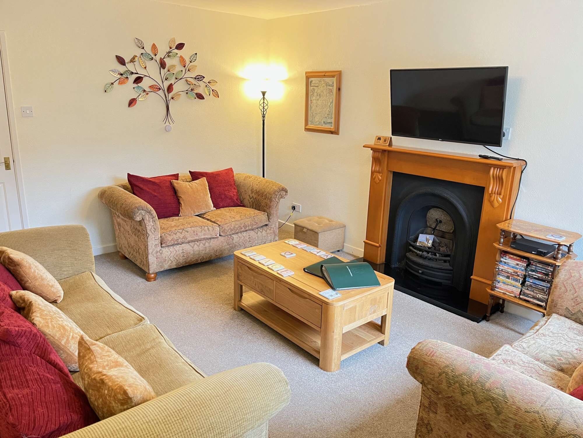 TV, fireplace, DVD player, books