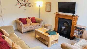 TV, fireplace, DVD player, books
