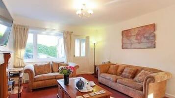 Télévision, cheminée, lecteur de DVD, livres