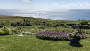 Paisatge costaner amb primer pla herbaci, un llit de flors i vista al mar.