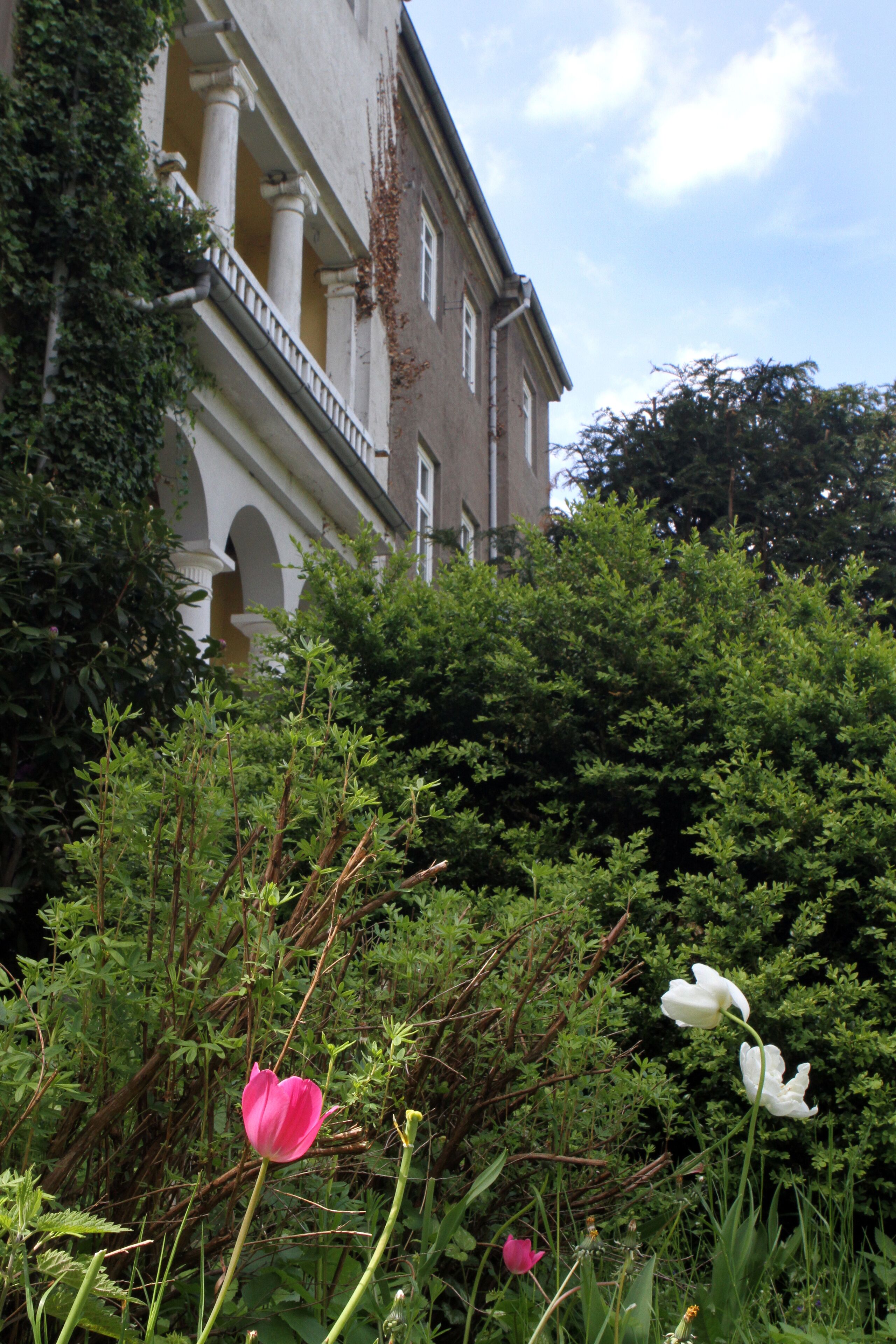 Details aan de buitenkant