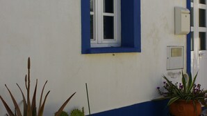 A building with a blue and white facade, a window with white shutters, and potted plants on a cobblestone ground.