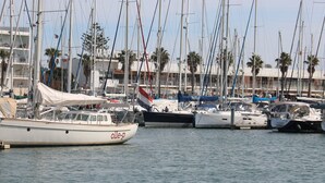 A marina with multiple sailboats docked.