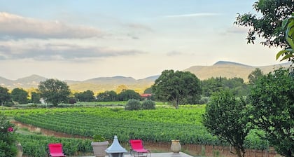 villa avec piscine sans vis Ă vis en plein vignoble sur 2 hectares de terrain