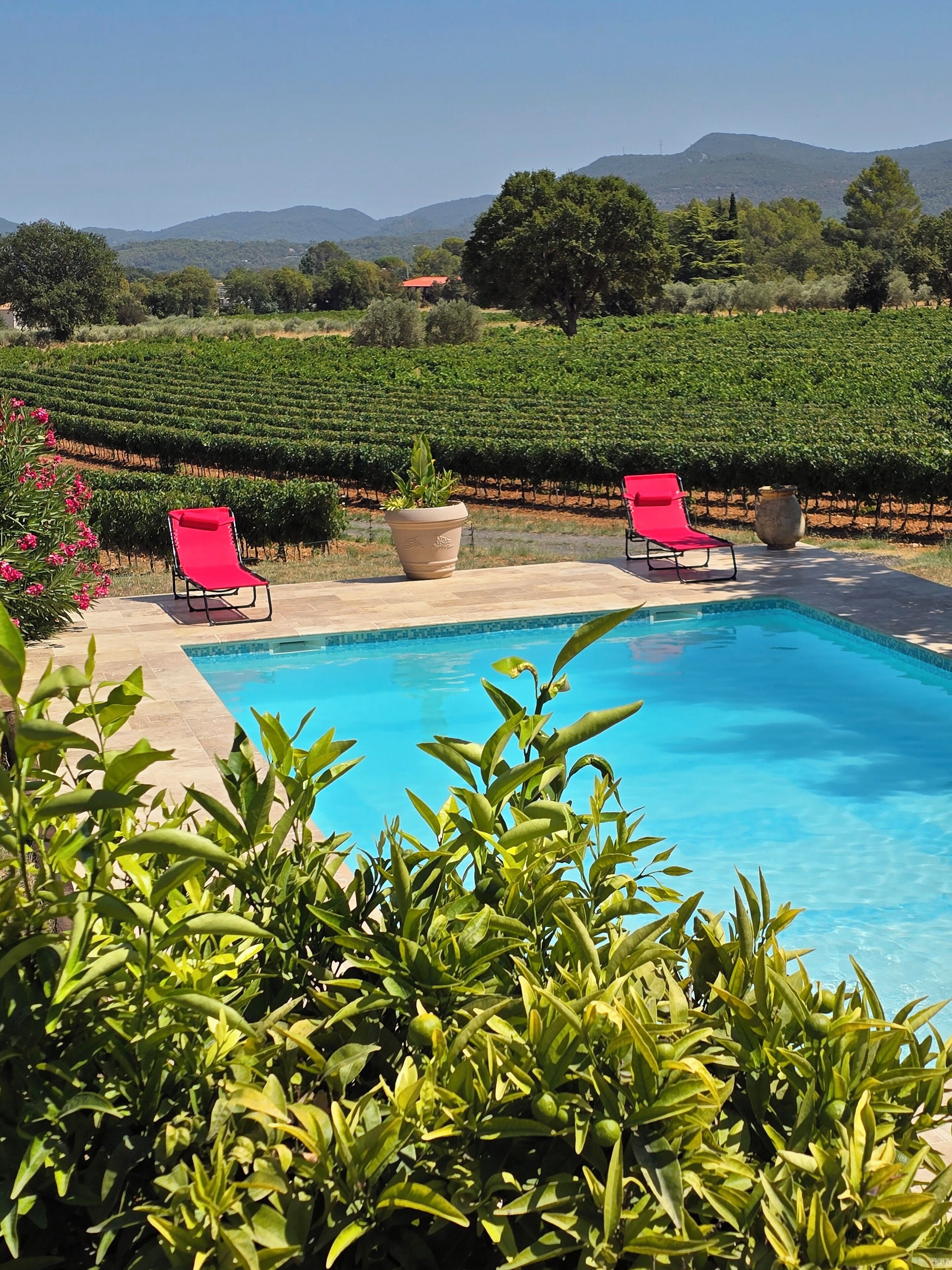 Piscine extérieure