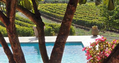 villa avec piscine sans vis Ă vis en plein vignoble sur 2 hectares de terrain