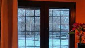 A room with a large window overlooking a snowy outdoor area, a small table with a potted plant, and a door with a handle. - El Tío Carrascón - Hostel (Cerveruela)