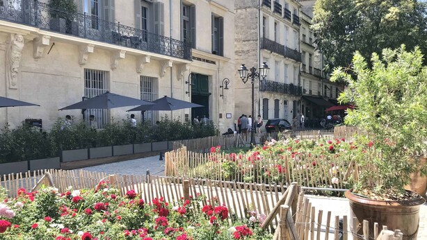 A courtyard with a wooden fence, potted plants, and outdoor seating with umbrellas. - Apartment with cathedral view in the historical quarter  (Montpellier)