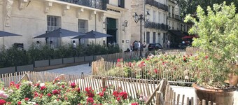 Apartment with cathedral view in the historical quarter