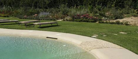 A swimming pool with clear water, surrounded by a well-maintained lawn and a few lounge chairs.