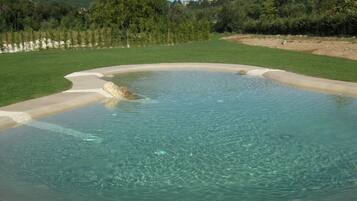 A circular swimming pool with clear water, surrounded by a grassy area and trees.