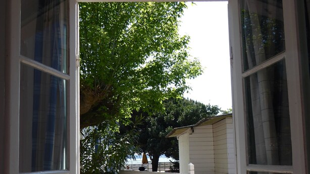 An open window with a view of a wooden fence and a tree.