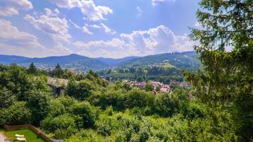 Ulkopuoli