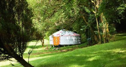 Pembrokeshire Yurts