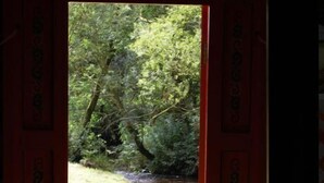 View from room - Pembrokeshire Yurts (Llanfyrnach)