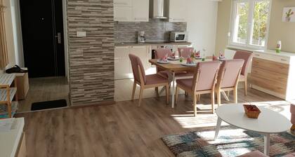 Lion Apartment Zagreb