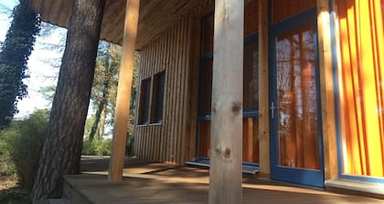 beautiful wooden house with exclusive furnishings and panoramic windows on Schwielowsee