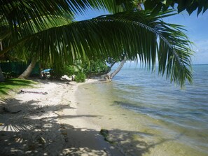 Ein Strand mit klarem Wasser, Palmen und einem Sandufer.