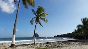 靠近海滩、沙滩椅