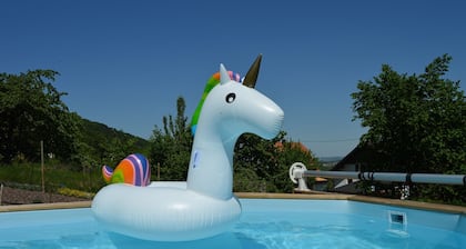 REZ DE CHAUSSEE PLAIN PIED DANS MAISON- PROPRIETAIRES AU 1ER ETAGE