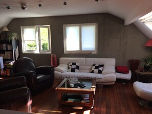 Télévision, cheminée, lecteur de DVD, livres