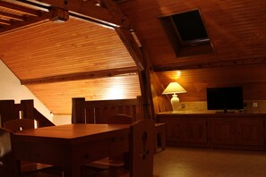 Télévision, cheminée, livres, espaces bureaux