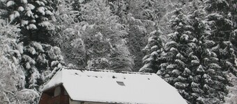 On wooded character house