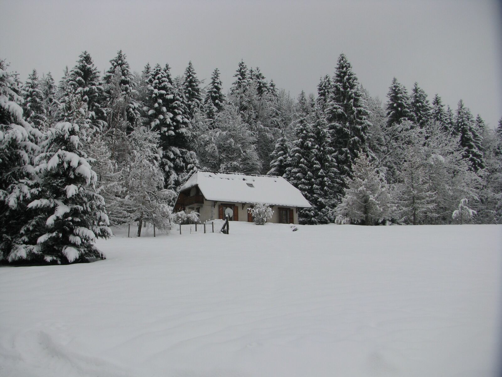 Une cabane enneigée au cœur d’une forêt.