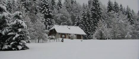 Une cabane enneigée au cœur d’une forêt.