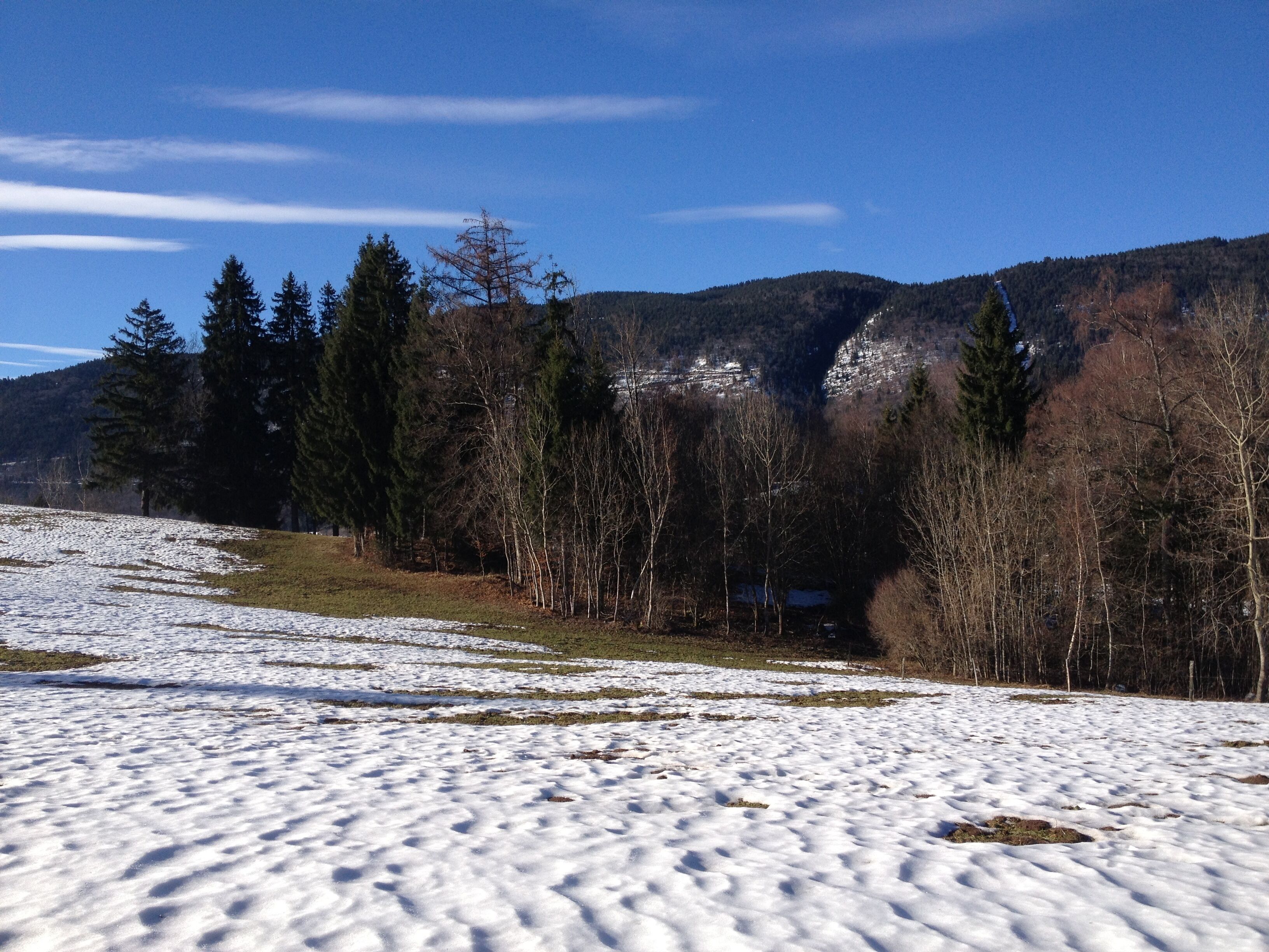 A snowy landscape with a forest and mountains in the background.
