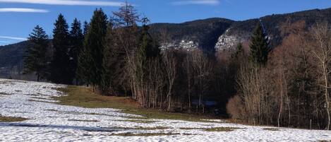 A snowy landscape with a forest and mountains in the background.