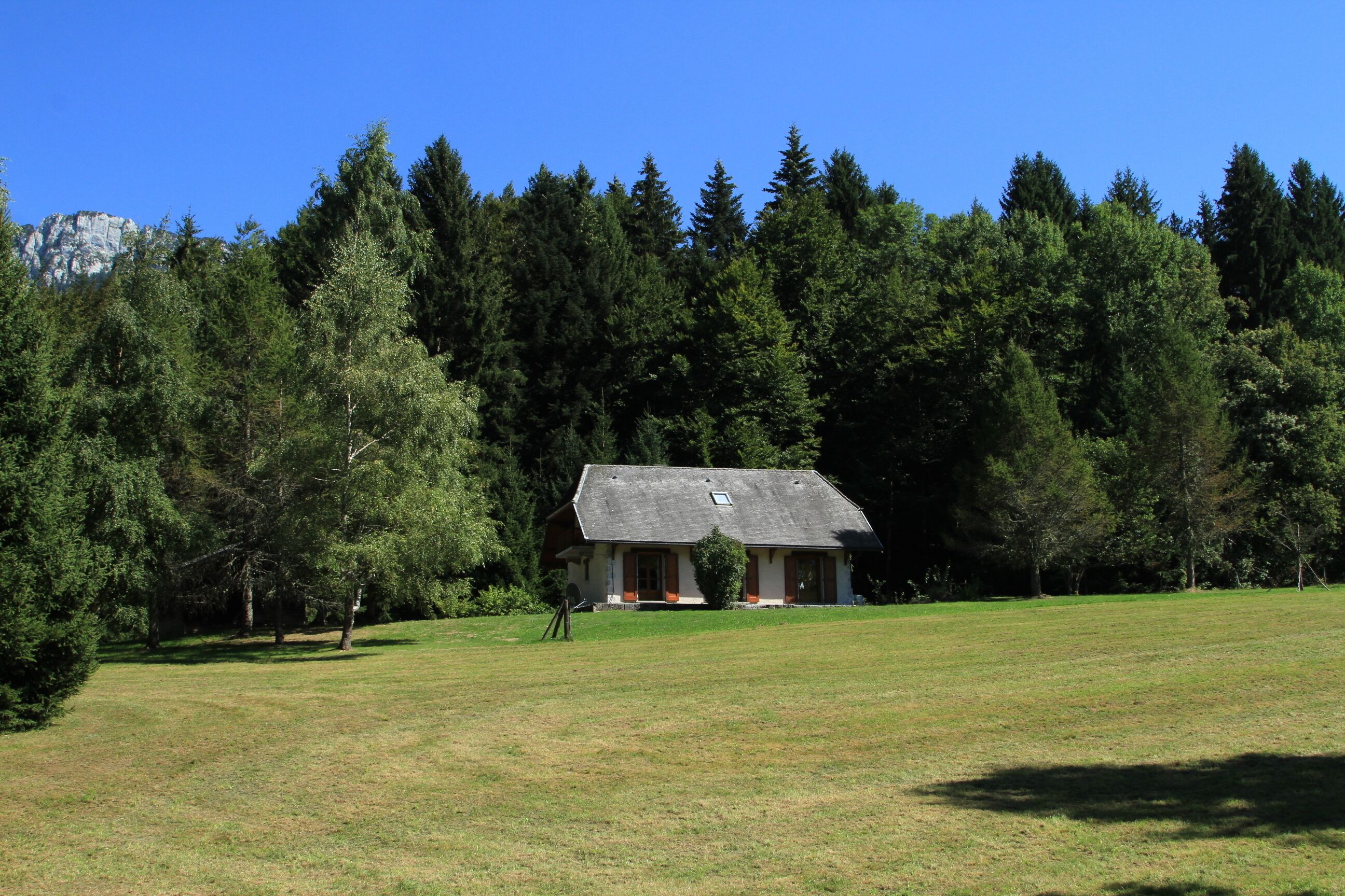 Une maison avec un toit en pente, entourée d’un champ herbeux et d’une forêt dense.