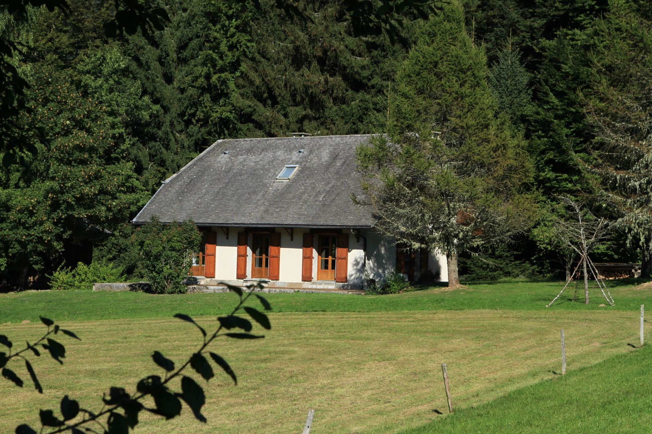 A house with a sloped roof, surrounded by a grassy field and dense forest.