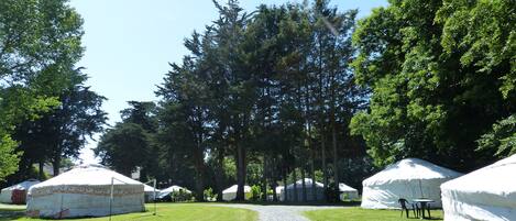 Yurts arranged in a row with a gravel path leading through them.