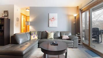 Televisión, chimenea y reproductor de DVD