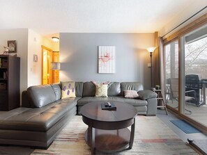 TV, fireplace, DVD player