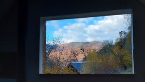 Una finestra amb vista a un paisatge de muntanya, incloent arbres i un edifici amb teulada blava.