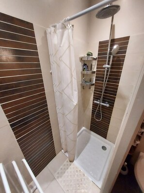 Shower, hair dryer - Pyrenees house, sleeps 2/12: SKIING, HIKING, FISHING. WIFI (Eup)