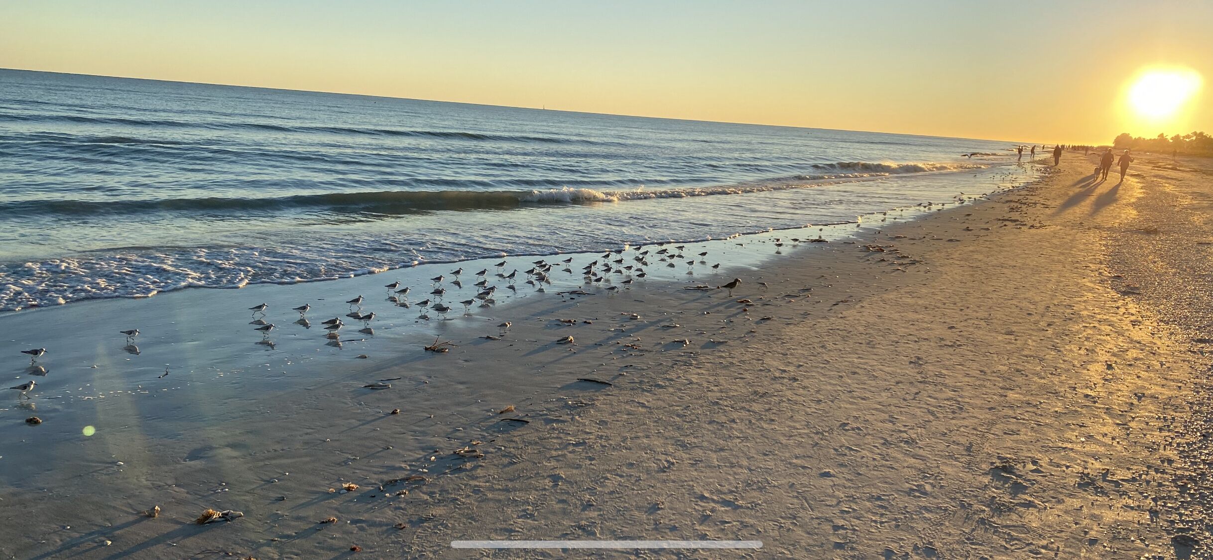På stranden, solsenger og strandhåndklær