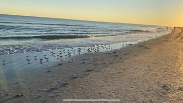 On the beach, sun loungers, beach towels