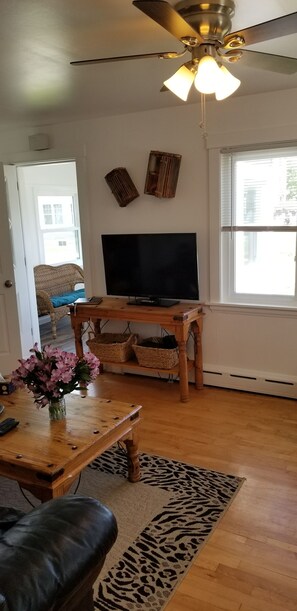 Älytelevisio, kirjoja