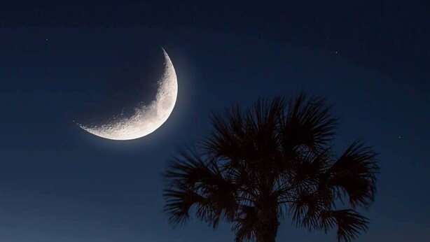 A palm tree silhouetted against a sunset with a crescent moon in the sky. - Ocean views everywhere! / Beach access in front of house! /close to restaurants. (Isle of Palms)