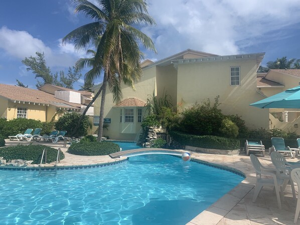 Ein Swimmingpool mit Liegestühlen und einer Palme.