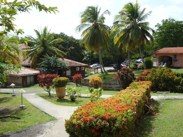 A tropical resort with a paved pathway, palm trees, and a small building with a tiled roof. - Superb Apartment (1-4 pers.) Magnificent sea Diamond Bay (Sainte-Anne)