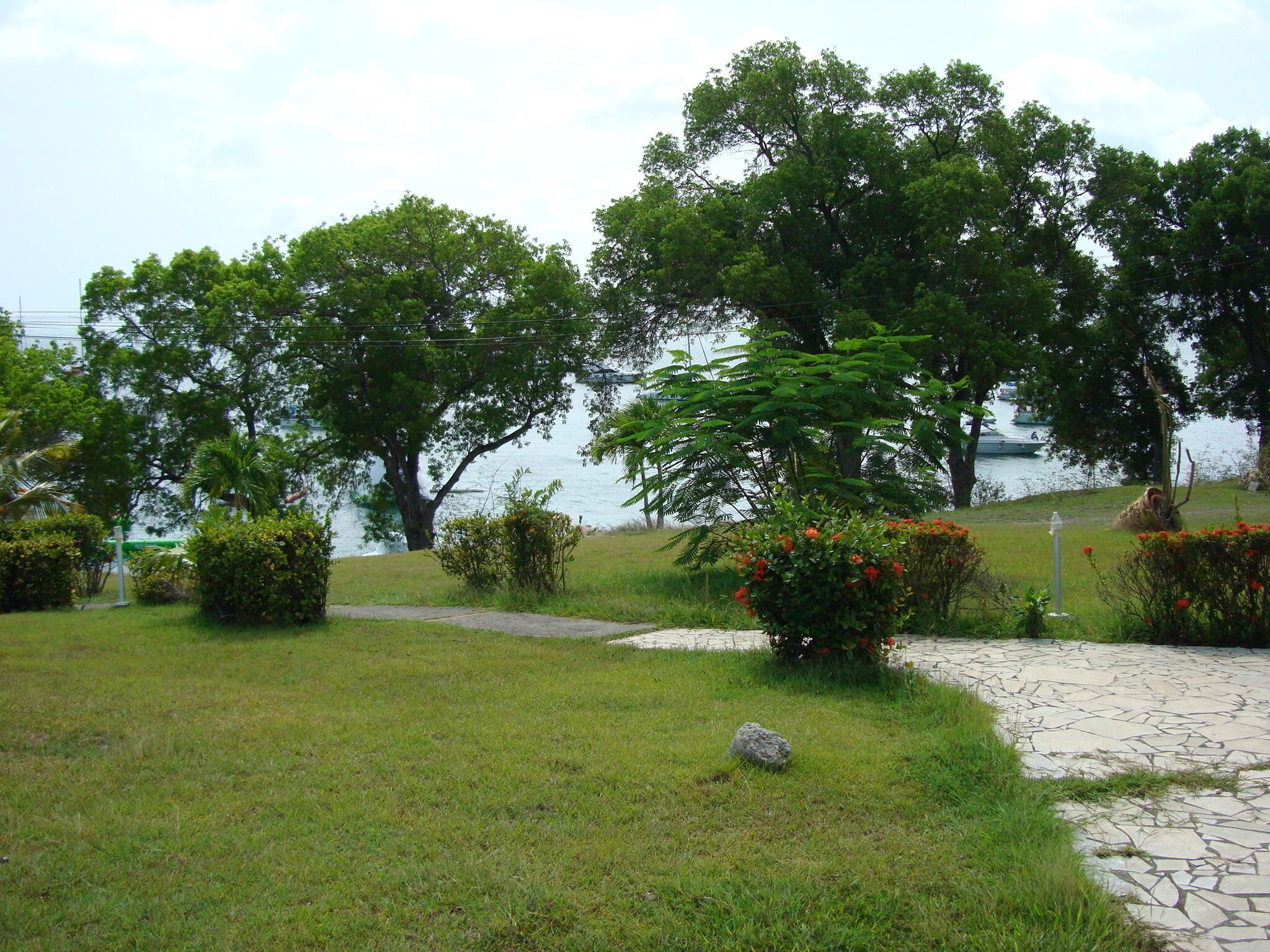 A landscaped garden with a stone pathway, various shrubs, and trees.