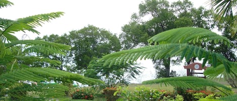 A lush garden with various plants and trees, a signpost, and a pathway.